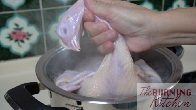 dunking the chicken in boiling water while holding the neck of the chicken