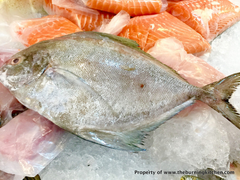 Foodie Local Fish Guide - Black_Pomfret