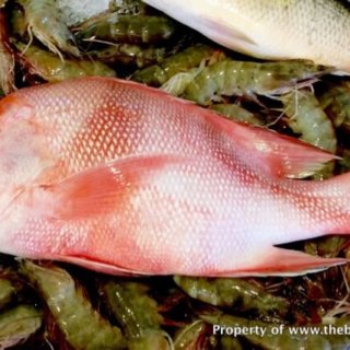 Guide_to_Local_Fish_Emperor_Red_Snapper
