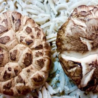 Braised Chinese Shitake Mushroom Recipe