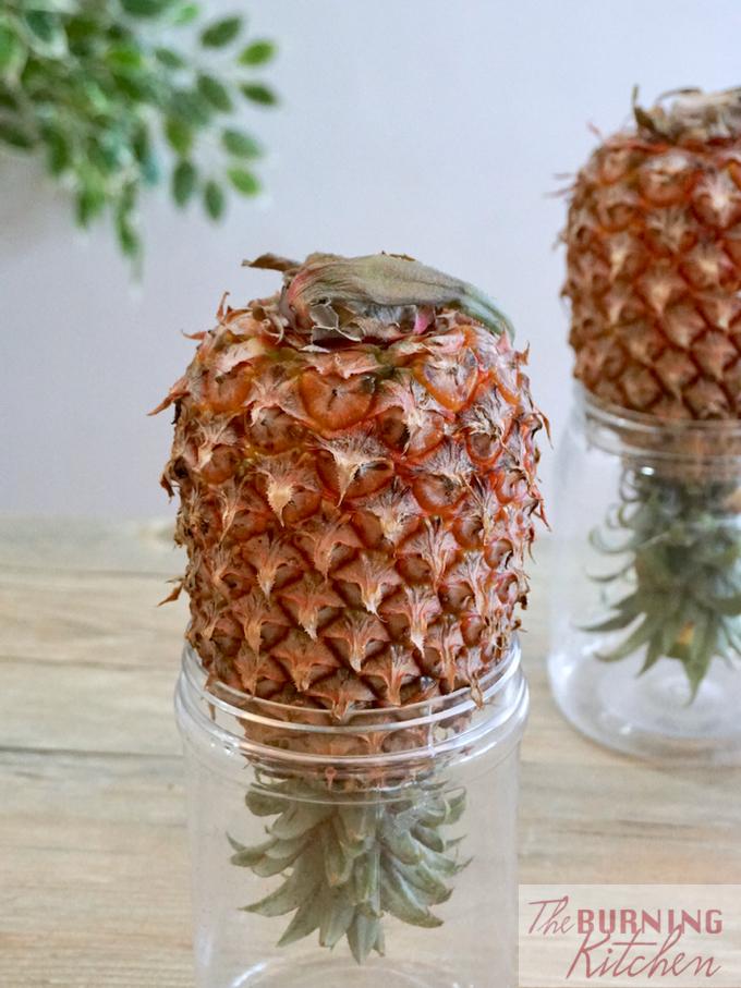 Inverted Pineapple in a jar